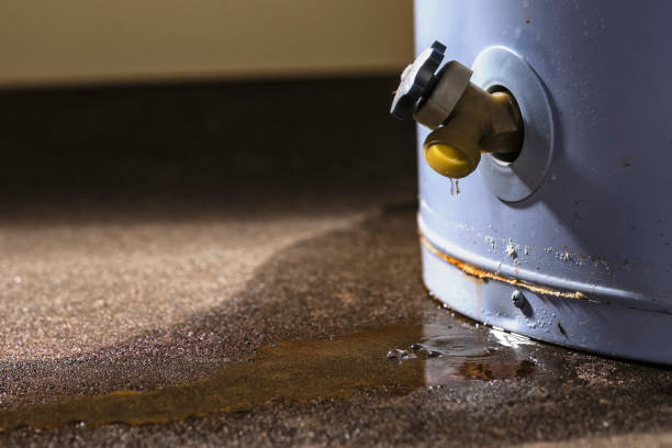 Best Water damage cleanup near me  in Oak Grove, MS