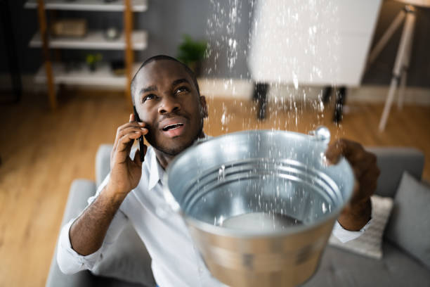 Best Water damage cleanup near me  in Oak Grove, MS