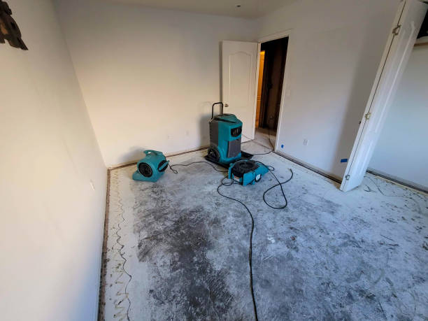 Best Emergency water extraction  in Oak Grove, MS