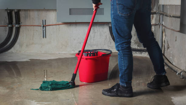 Best Ceiling water damage repair  in Oak Grove, MS