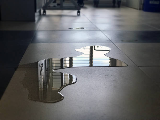 Best Commercial water damage restoration  in Oak Grove, MS