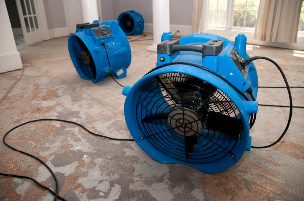 Best Emergency water damage restoration  in Oak Grove, MS