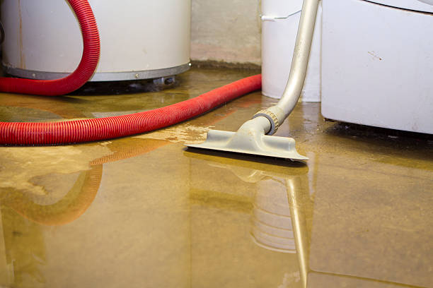  Oak Grove, MS Water damage restoration Pros