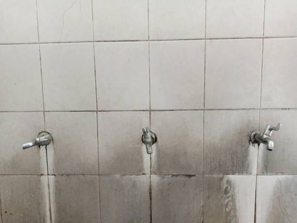 Best Basement water damage restoration  in Oak Grove, MS