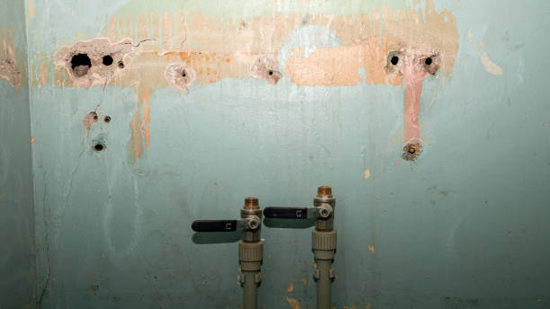 Best Mold removal after water damage  in Oak Grove, MS