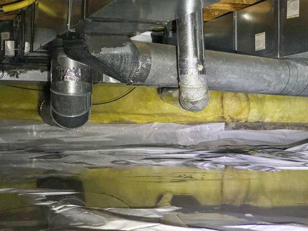 Best 24/7 water damage repair  in Oak Grove, MS