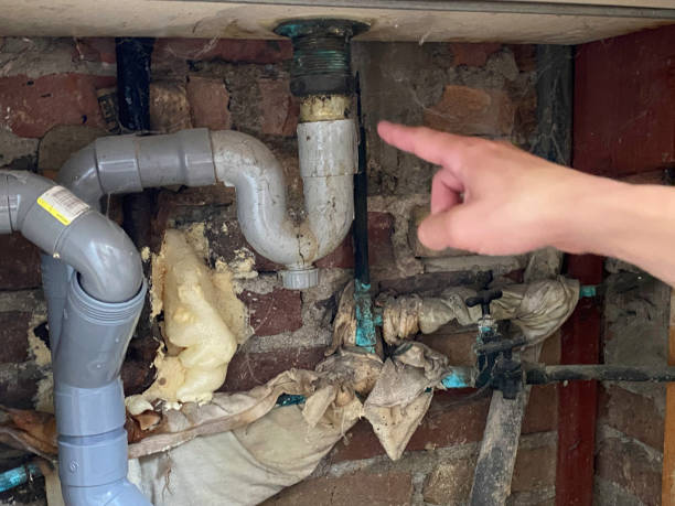 Best Water damage contractors near me  in Oak Grove, MS