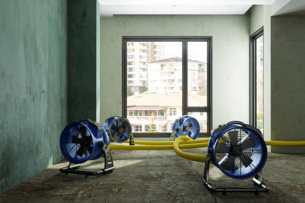 Best Water damage restoration cost  in Oak Grove, MS